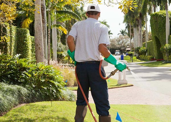 About Cataract WI Pest Control